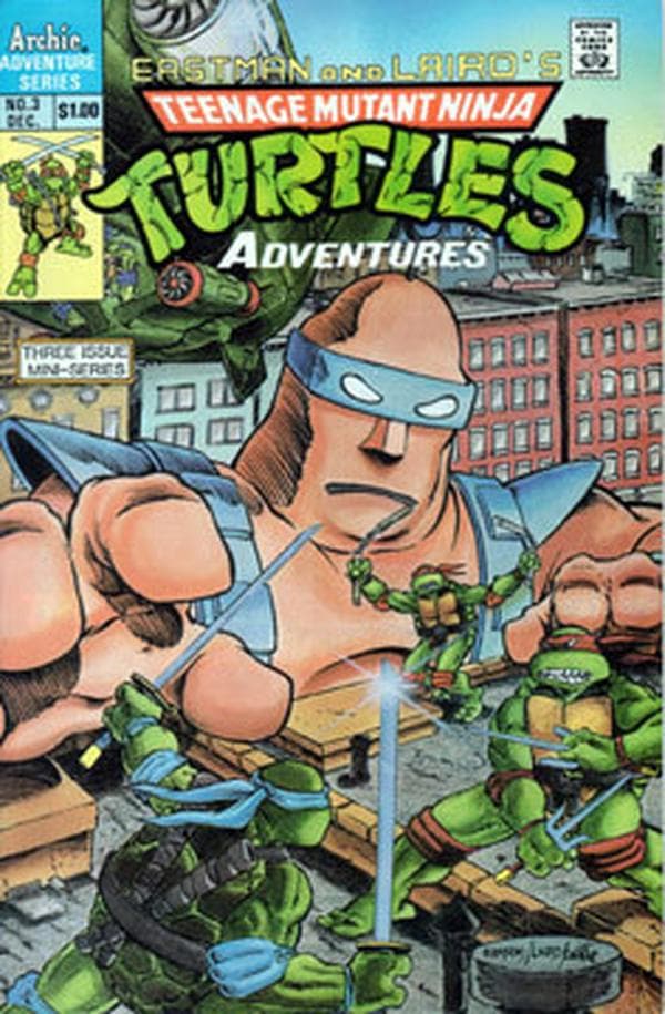 Teenage Mutant Ninja Turtles Adventures #3 cover