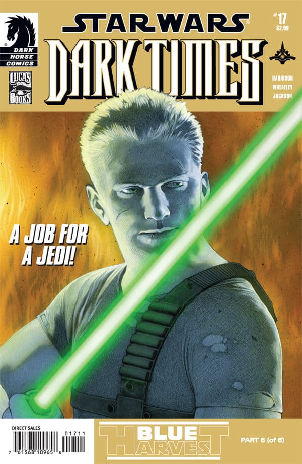 Star Wars: Dark Times #17 cover