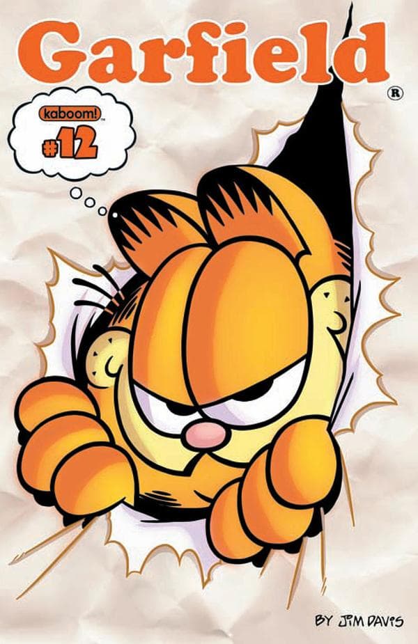 Garfield #12 cover