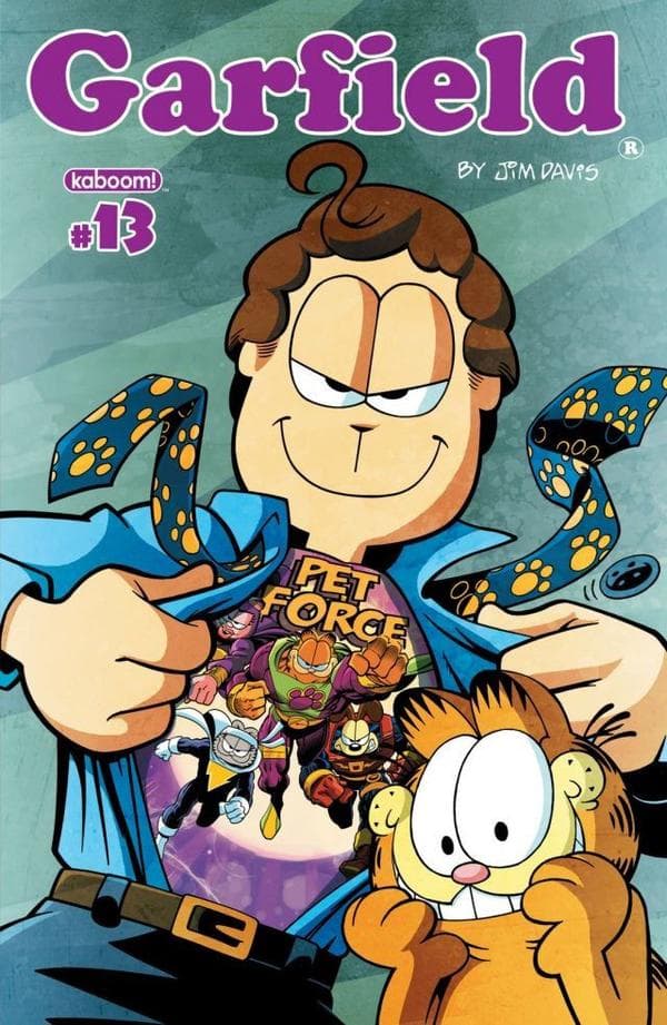 Garfield #13 cover
