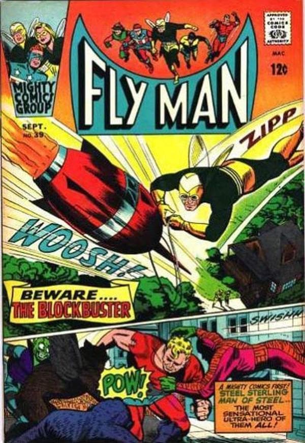 Fly Man #39