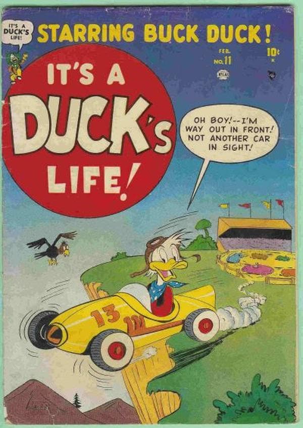 It's a Duck's Life #11