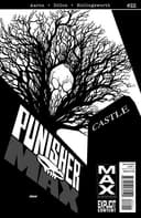 PunisherMAX #22