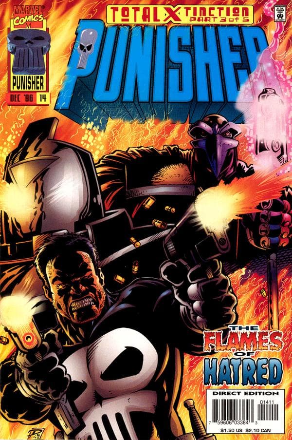 Punisher #14 cover