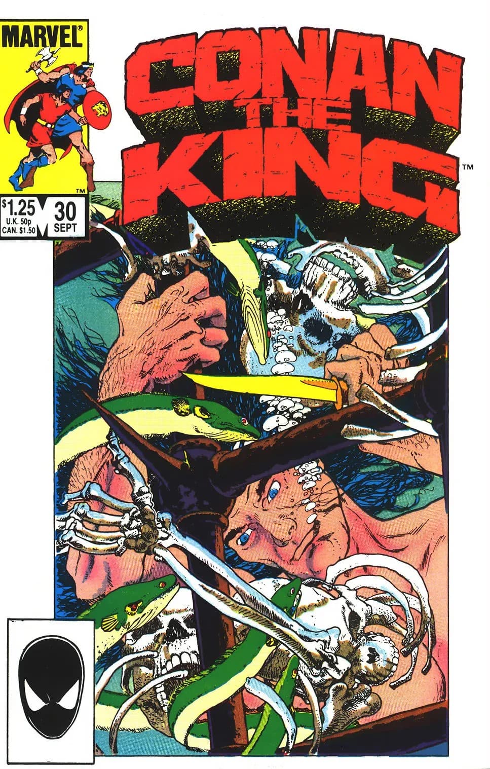 Conan the King #30 cover