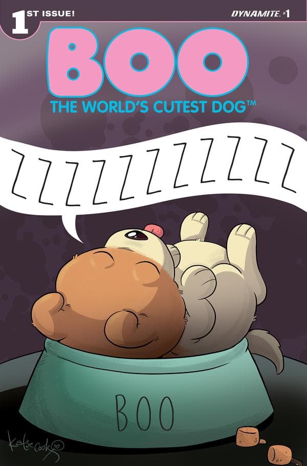 Boo, the World's Cutest Dog