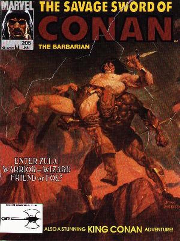 The Savage Sword of Conan #205 cover
