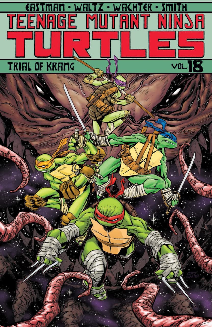 Teenage Mutant Ninja Turtles #18 cover