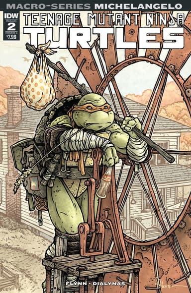 Teenage Mutant Ninja Turtles Macro-Series