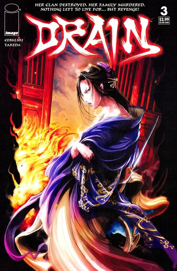 Drain #3 cover
