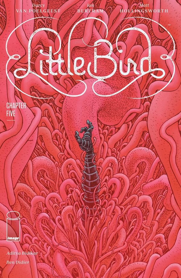 Little Bird #5 cover