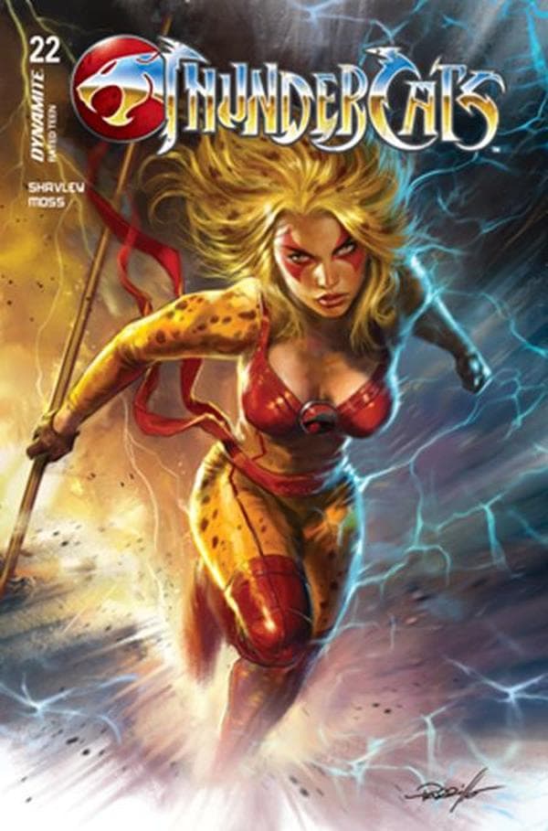 ThunderCats #22 cover