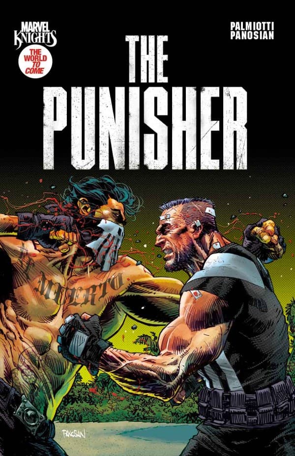 Marvel Knights: Punisher #2 cover