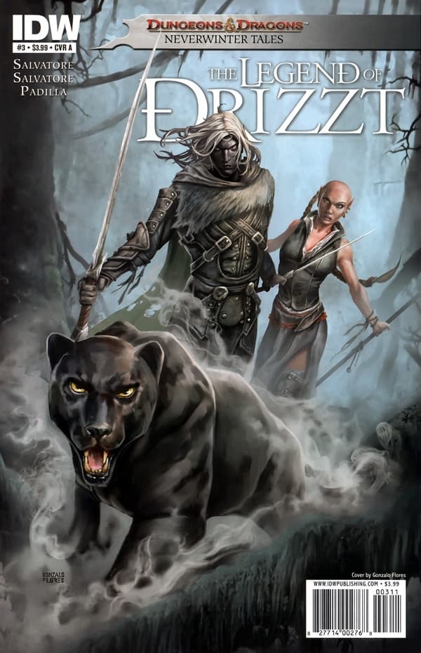 Dungeons & Dragons: The Legend of Drizzt: Neverwinter Tales #3 cover