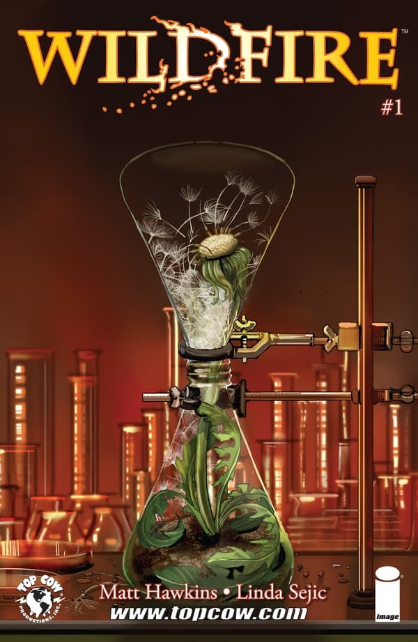 Wildfire cover — © Image Comics