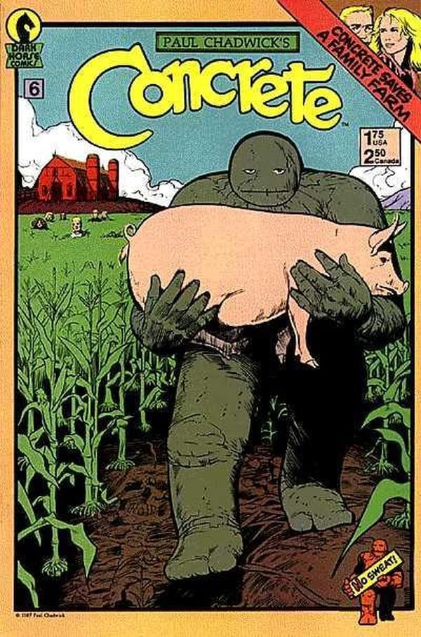 Concrete #6 cover