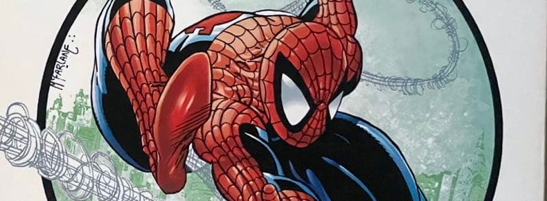 Amazing Spider-Man by Michelinie and McFarlane
