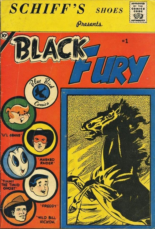Black Fury #1