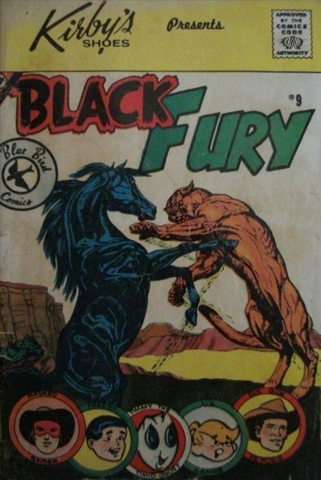 Black Fury #9