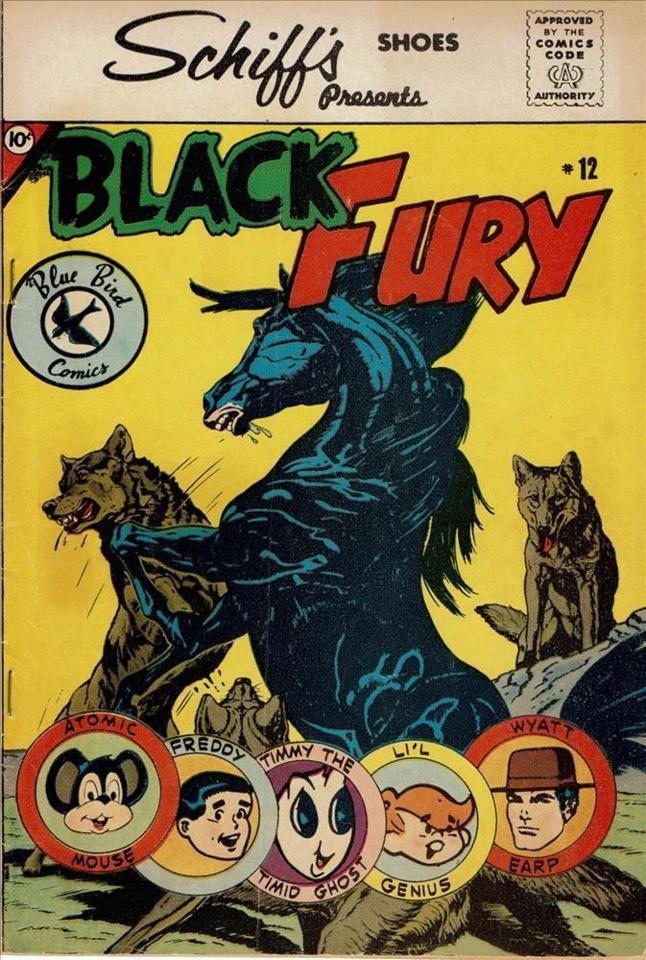 Black Fury #12