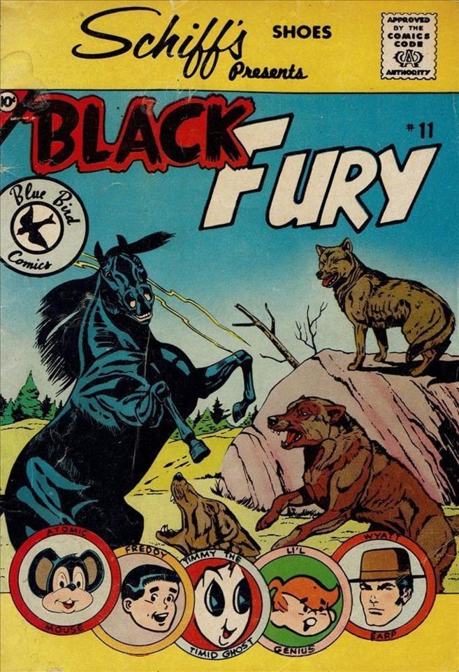 Black Fury #11