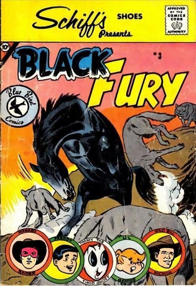 Black Fury #3