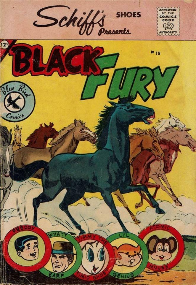 Black Fury #15