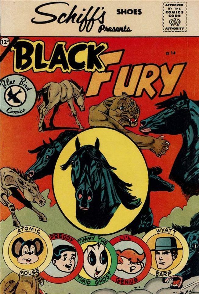 Black Fury #14
