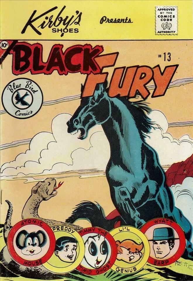 Black Fury #13