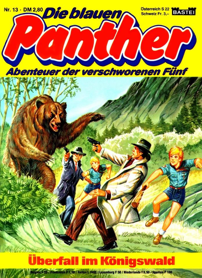 Die blauen Panther 13