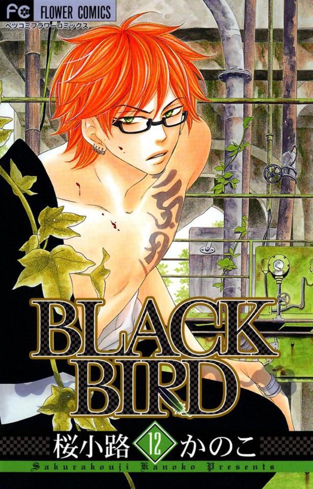 Black Bird 12