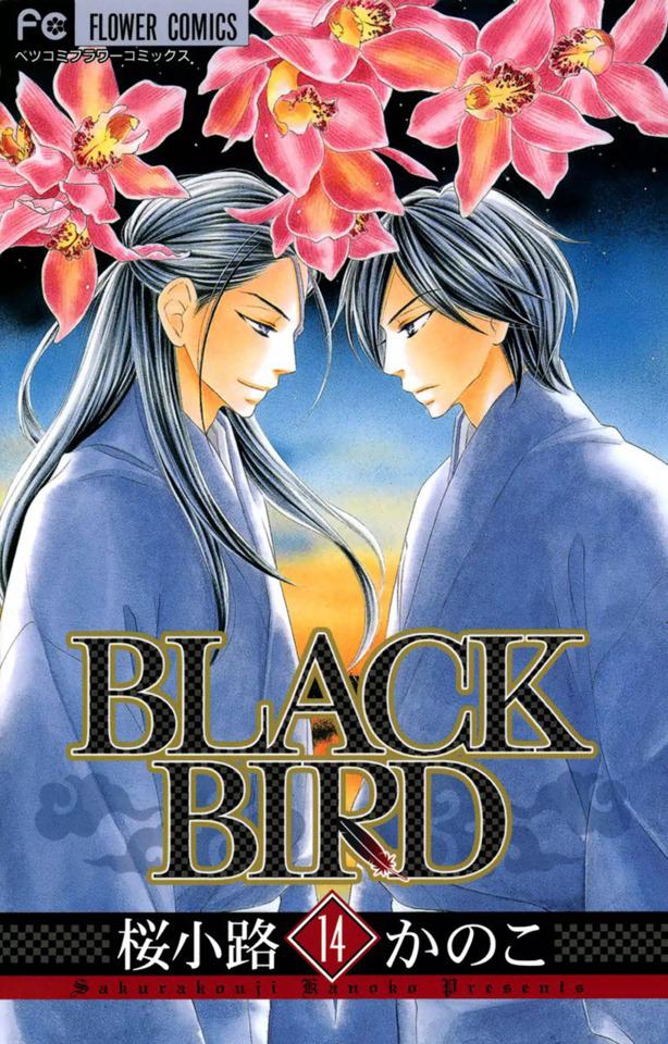 Black Bird 14