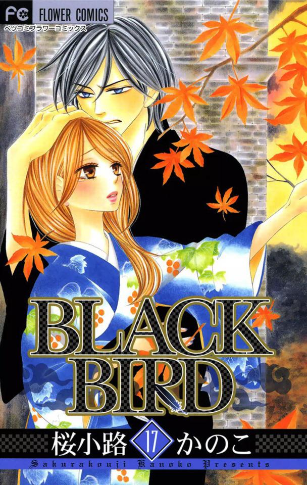Black Bird 17