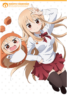 DVD Edition