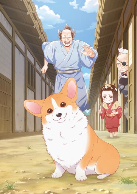 DVD Edition