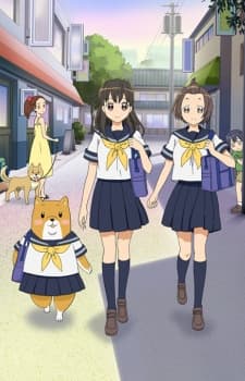 DVD Edition