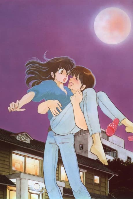 Maison Ikkoku - DVD Box Set 8 (DVD 8)