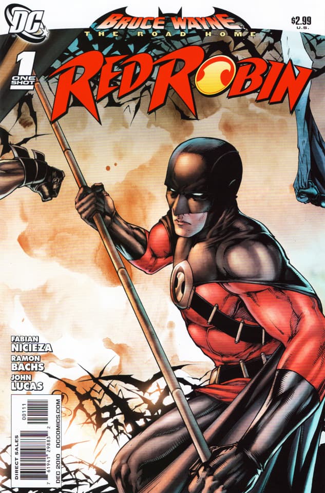 Bruce Wayne: The Road Home: Red Robin cover — © DC Comics