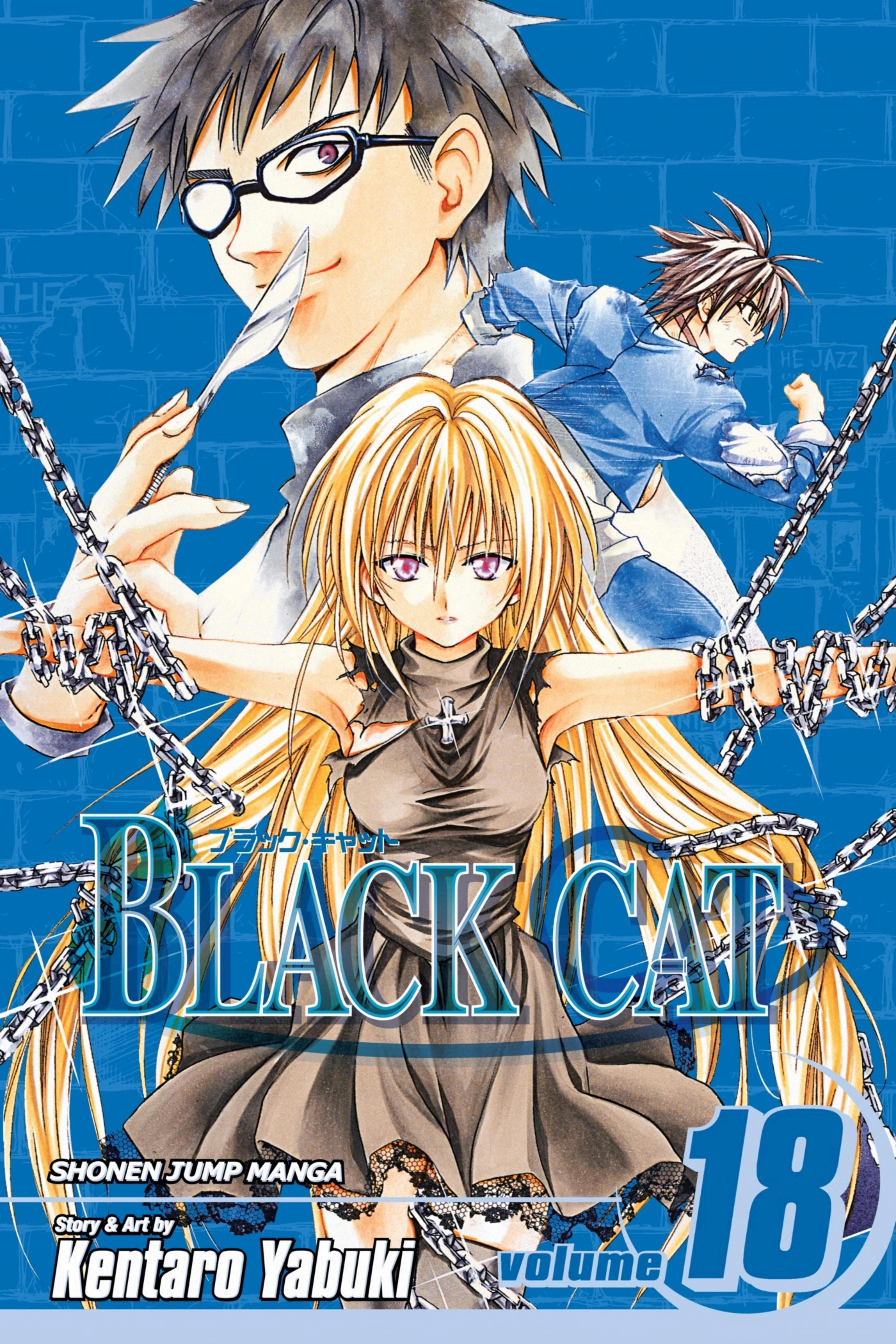 Black Cat, Vol. 18