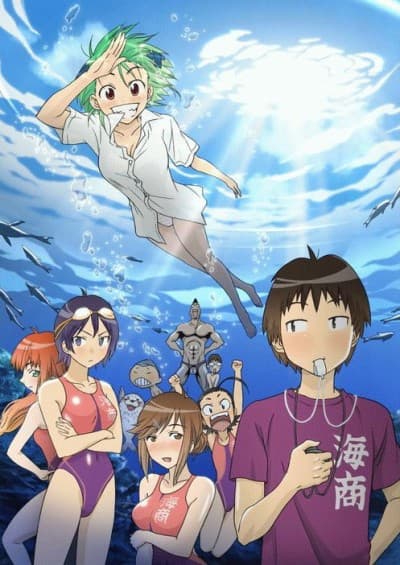 DVD Edition