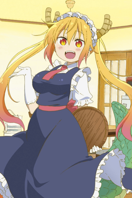 DVD Edition