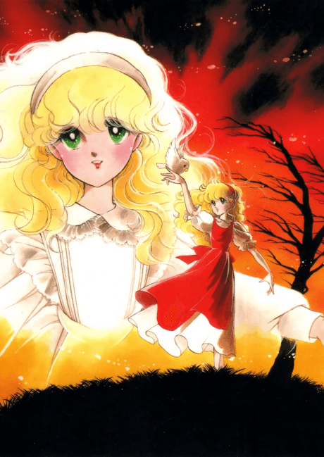 DVD Edition