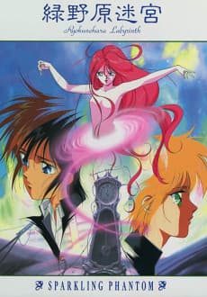 DVD Edition