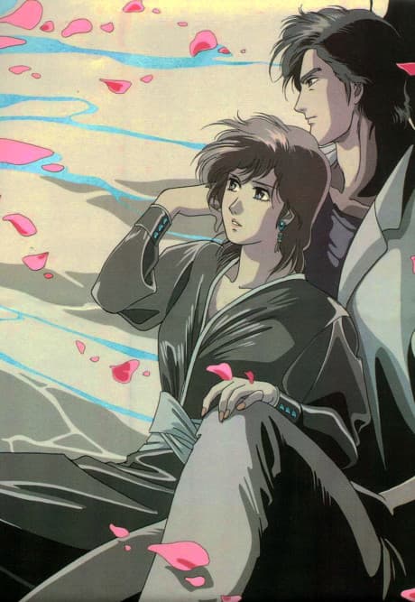 City Hunter 2 - Collection 2 (Sub.DVD)