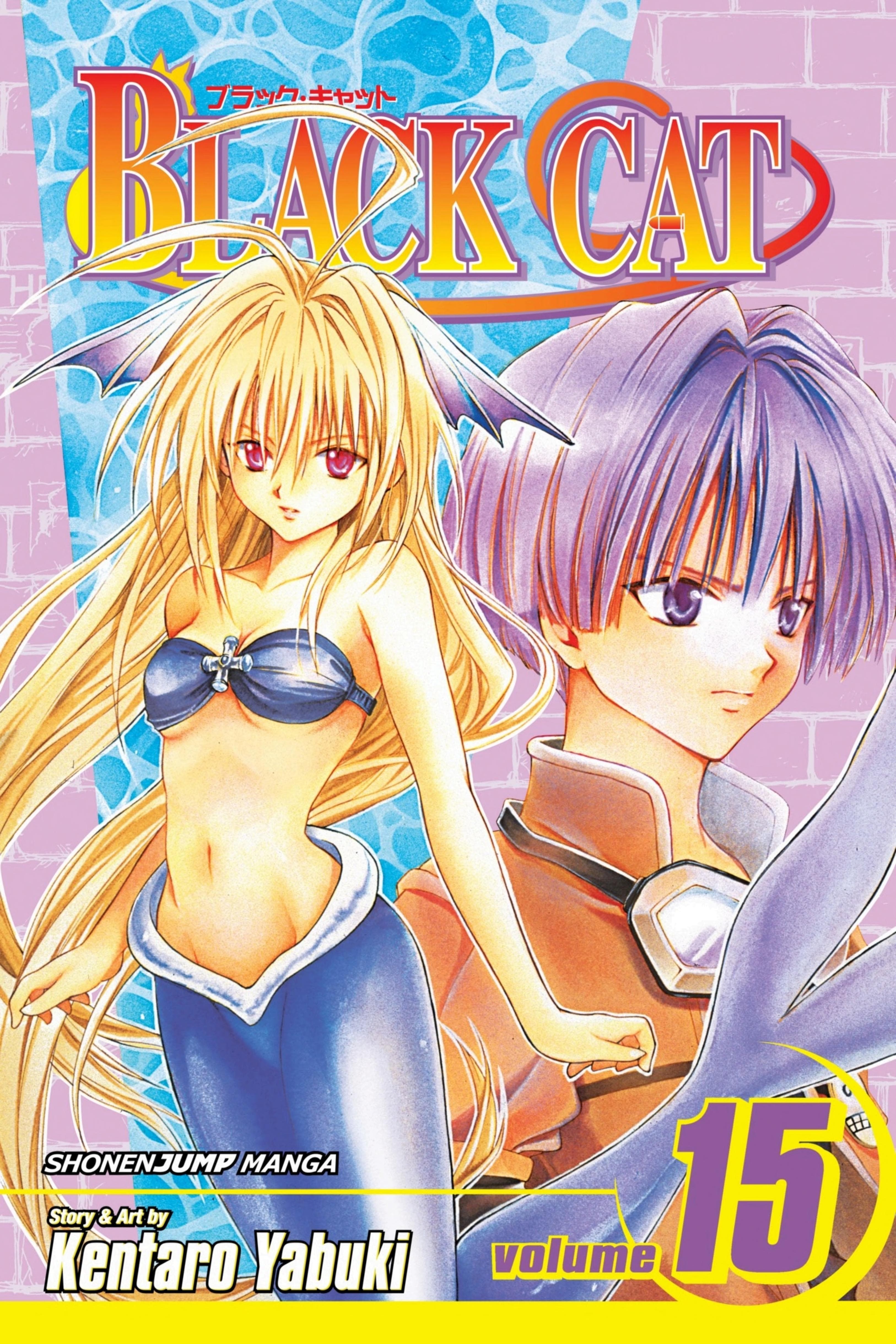 Black Cat, Vol. 15