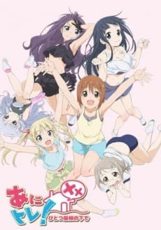 DVD Edition
