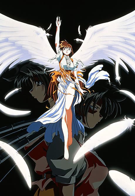 DVD Edition