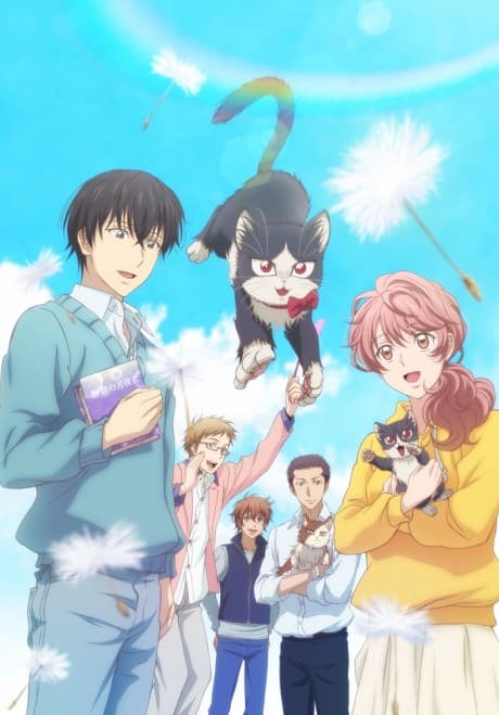 My Roommate is a Cat - The Complete Series (Blu-ray)