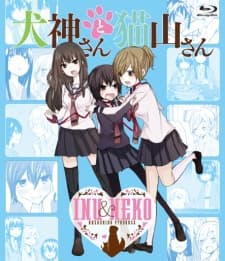 DVD Edition