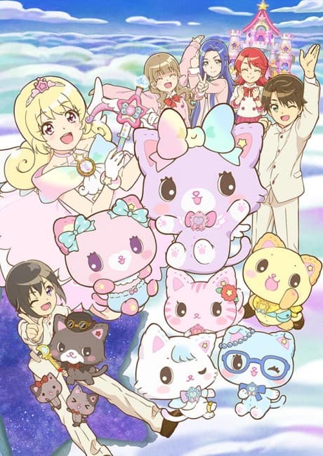 DVD Edition